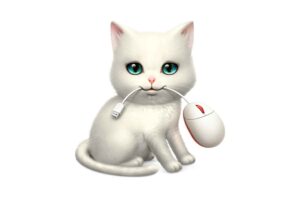 快捷猫 (Shortcat)：适用于Mac的通用命令面板 无需鼠标，即可熟练操作 macOS